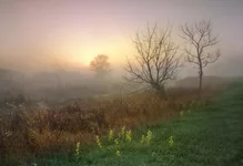kFVwmQ8-Iyw.webp