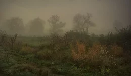 wdXNdXf_EHA.jpg
