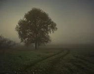 sr6iju97VYA.webp