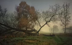 cRK2iymI9o0.jpg