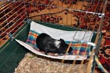  люблю я эту штуку.webp