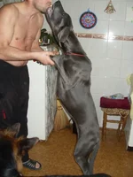 .webp
