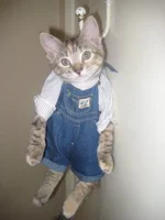 .webp
