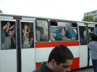 17290.webp