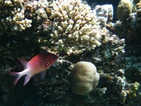 _2-5.webp