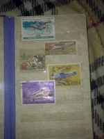 06122010147.webp