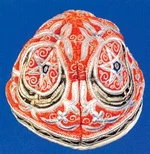  БУХАРА.webp