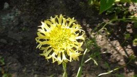 DSC07650.webp