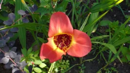 DSC07646.webp
