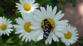 DSC07041.webp