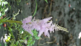 DSC07082.webp