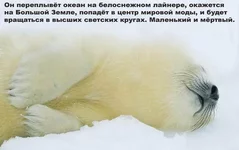  и мертвый.webp