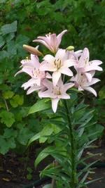 DSC02654.webp