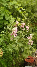 DSC02657.webp