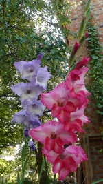 DSC03222.webp