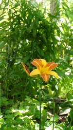 DSC07035.webp