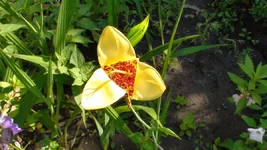 DSC07364.webp
