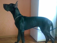 28122009871.webp