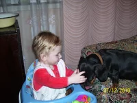 100_4190.webp