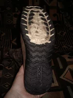 IMGP7883.webp