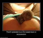 699692_umej-prikinutsya-bezzaschitnyim-i-malenkim.webp