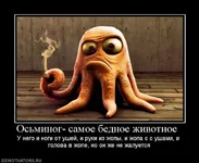319292_osminog-samoe-bednoe-zhivotnoe-.webp