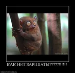  зарплаты_03.webp