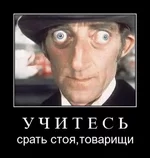  стоя.webp