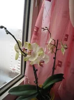 1977309_m.webp