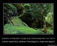 yat-ostavlyaet-sledy.-kak-otpechatki-nog-na-snegu..jpg