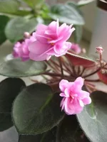 2195149_m.webp