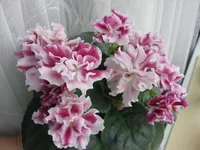 2195151_m.webp