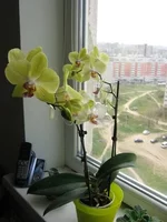 2195183_m.webp