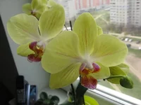 2195184_m.webp