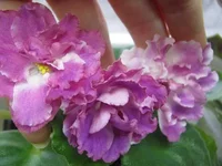 -Татьяна2.webp