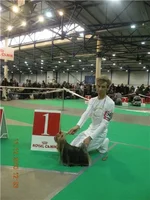 5cae4136c07e.webp