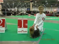 782dcfa03b0e.webp