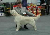  5.6 2010 052.webp