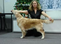  5.6 2010 097.webp