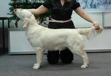  5.6 2010 075.webp