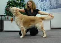  5.6 2010 142.webp