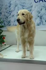  5.6 2010 149.webp