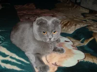 DSCF0017.webp