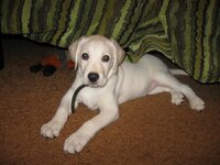 IMG_3610.jpg