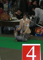 IMG_0843.webp