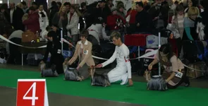 IMG_0860.webp