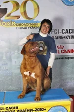  к 2.webp