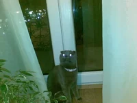 06122010587.webp