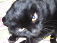 100_1423.webp