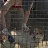 10675_100.webp